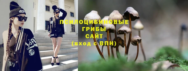 прущий лед Армянск