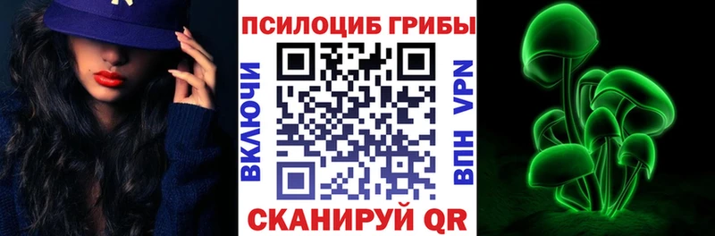 Галлюциногенные грибы GOLDEN TEACHER  где можно купить наркотик  Сальск 